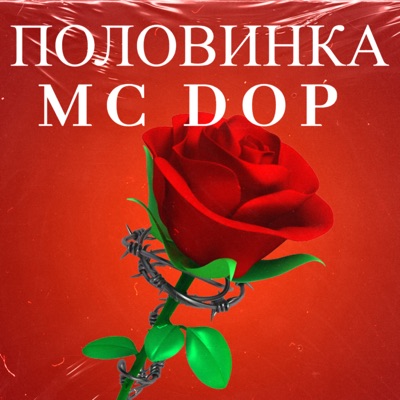 Половинка - Single