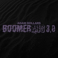 Boomerang 3.0 - Single - Adam Dollar$