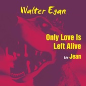Only Love Is Left Alive (feat. Christine McVie) artwork