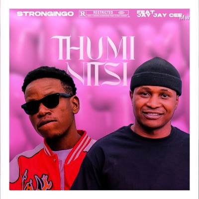 Thuminitsi (feat. Jay Jay Cee Mw) - Single