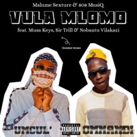 Vula Mlomo Revisit (feat. 808 MusiQ, Musa Keys, Sir Trill & Nobantu Vilakazi) - Single - Malume Sexture