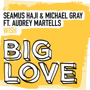Wish (feat. Audrey Martells) - Single