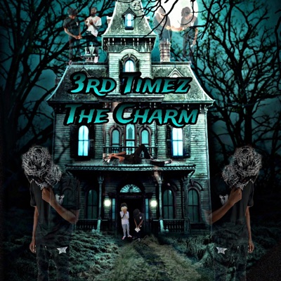 3rd Timez the Charm - Single