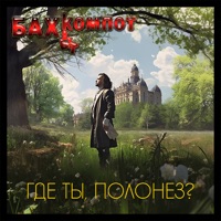 Где ты, полонез? - Single - Bakhyt Kompot
