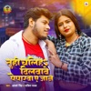 Tuhi Chalih Dilvave Peparva E Jaan - Single