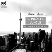 Concrete Jungle (SolarTrak Remix) artwork