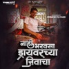 Nahi Bharavasa Driver Chya Jivacha (feat. Gokul Ambildhage) - Single