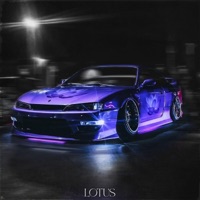 Lotus - Single - myasno