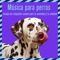 Piano Relajante - Relaxmydog & Dog Music Dreams lyrics