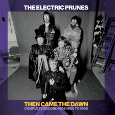 The Electric Prunes - I Had Too Much to Dream (Last Night)
