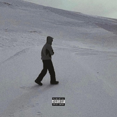Pippen Freestyle (feat. Nheva) - Single