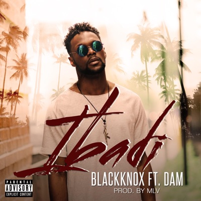 Ibadi (feat. Dam) - Single