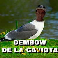 GAVIOTA / Y YO VUELO? - Single - ND El Doble S