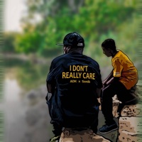 I Don't Really Care (feat. Sonik) - Single - ADK