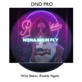 Nona Bikin Fly (feat. Rizaldy Ngelo) artwork
