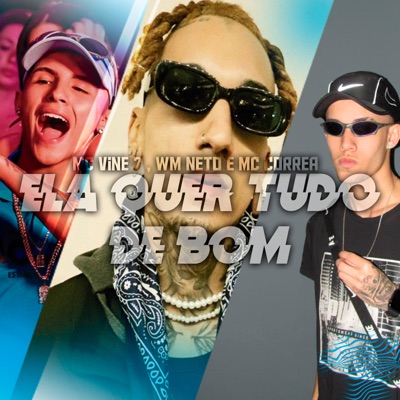 Ela Quer Tudo de Bom - Single