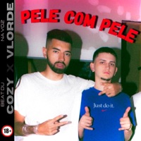 PELE COM PELE (feat. Vlorde & Cozy) - Single - QVS