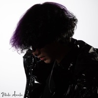 Wide Awake - Single - RudyWade