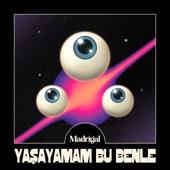 Yaşayamam Bu Benle artwork