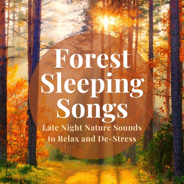 Forest Sleeping Songs - Late Night Nature Sounds to Relax and De-Stress