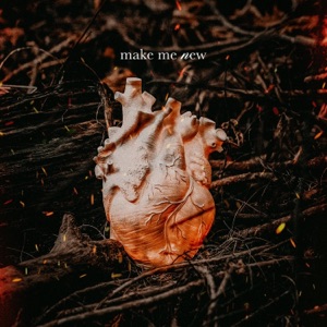 Make Me New Album Art