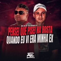 Pensei Que Pisei na Bosta, Quando Eu Vi Era Minha Ex - Single - Mc Delux & DJ PAVANELLO