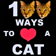 100 Ways to Love a Cat - Travis and Jonathan