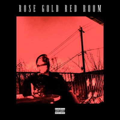 Rose Gold Red Room - Single