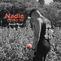 Nadie como tú - Single - Javier Uziel