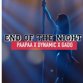 End of the night (feat. PaaPaa & dynamic978) Callmegado