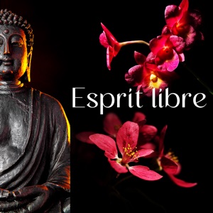 Esprit libre