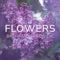 Flowers (Bachata Version) artwork