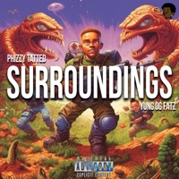 Surroundings (feat. YungOGFatz) - Single - Phizzy Tatted