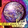 Thrift Store Halo