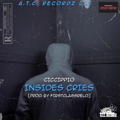 Inside Cries - Single