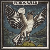 Texas Sun (feat. Ray Wylie Hubbard) artwork