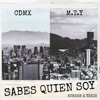 Sabes Quien Soy (feat. Screen) - Single