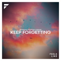 Keep Forgetting - Single - HeyMcFly! & Weston & Teston