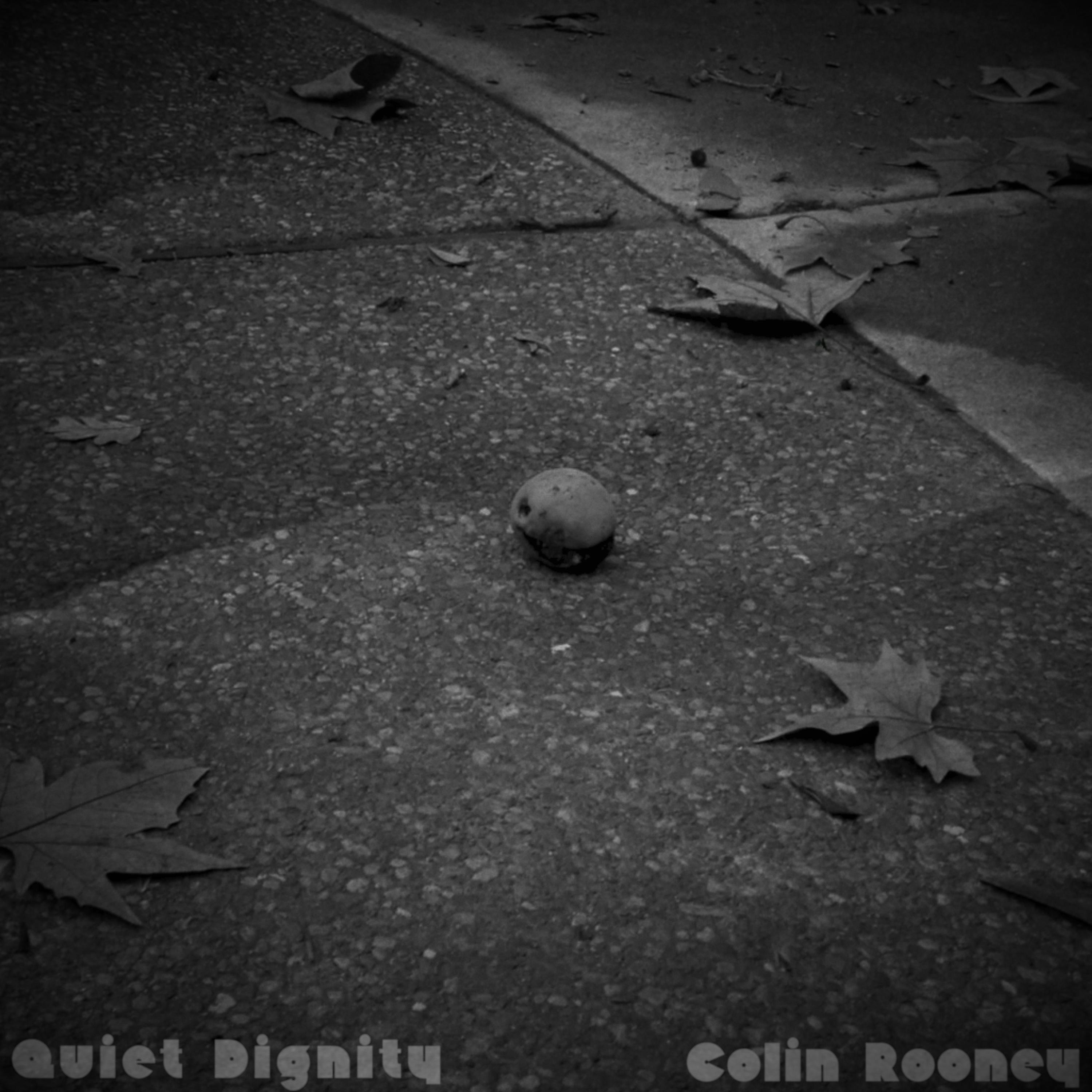 Quiet Dignity - Single