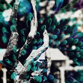 Meditating (feat. Vinni G) Devyok