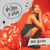 No Sabe A Nada artwork