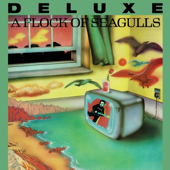 A Flock Of Seagulls  cover