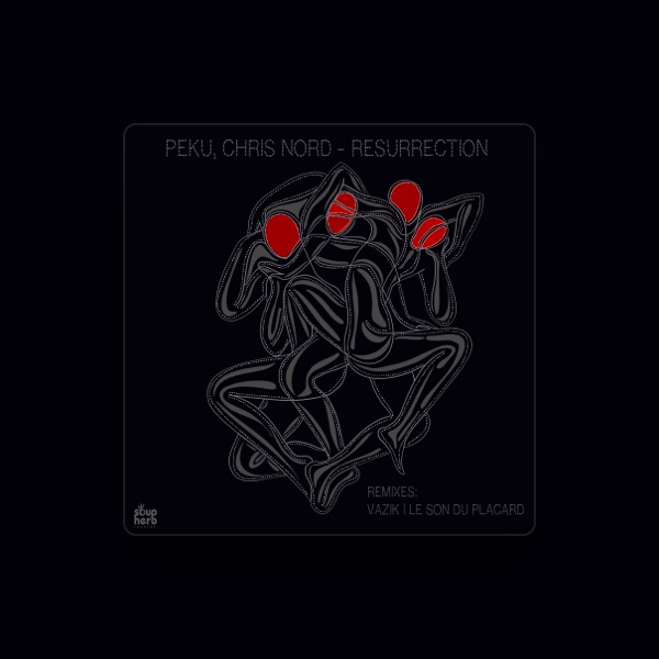 Chris Nord's avatar