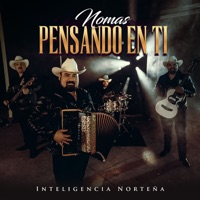 Nomas Estoy Pensando en Ti - Single - Inteligencia Norteña