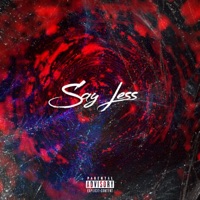 Say Less (feat. Ace Villain & Chamoney) - Single - Xloudy