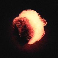 antinatural - Single - DEO 9:11