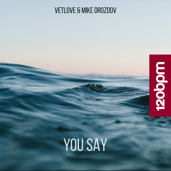 You Say - Single