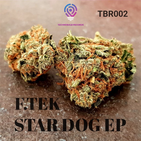 Star Dog (Original) - Single