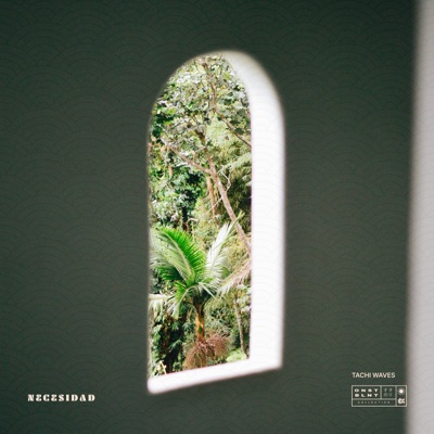 Necesidad - Single
