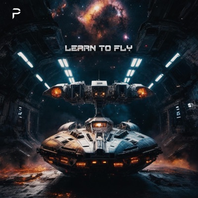 Learn To Fly - Single
